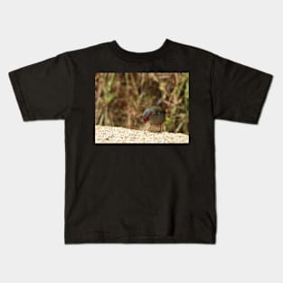 Red-browed Finch at Norton Summit eating Kids T-Shirt